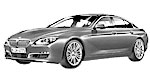 BMW F06 P20A9 Fault Code